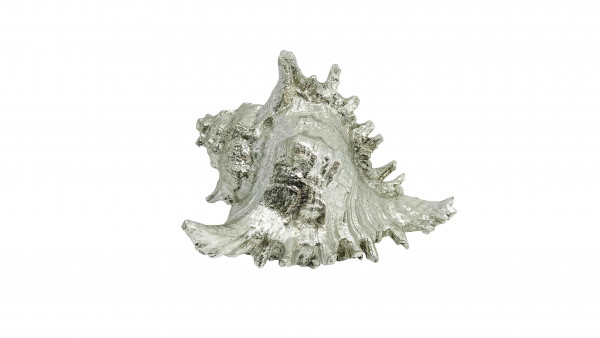 Deko Muschel 19 cm