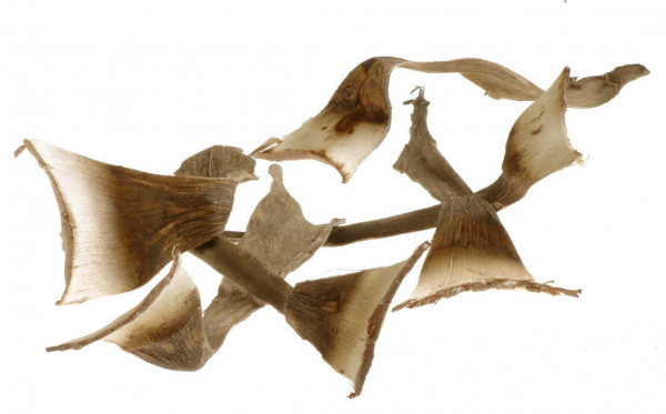 Agave VE 1 kg