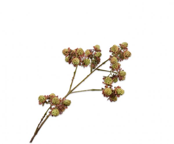 Brombeerenzweig 78 cm