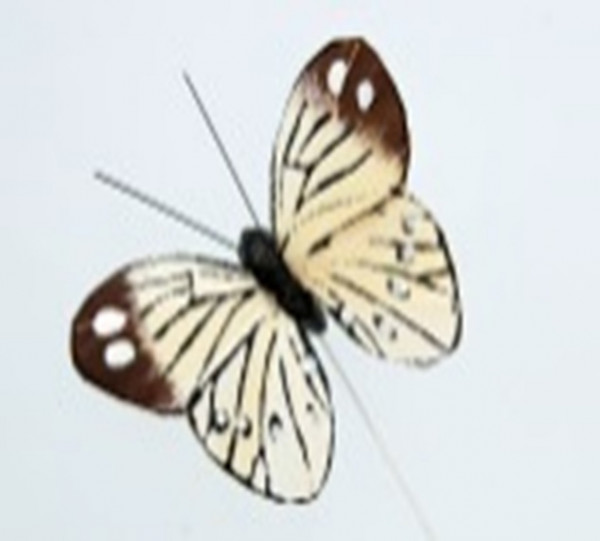 Feder Schmetterling VE 12 St