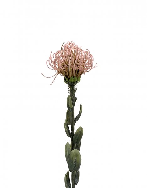 Nadelkissen 61 cm
