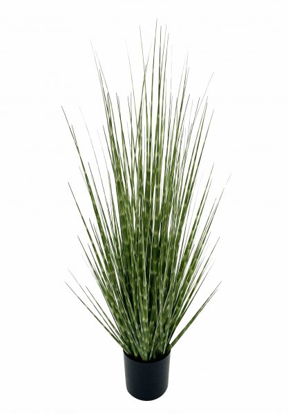 Gras getopft 90 cm