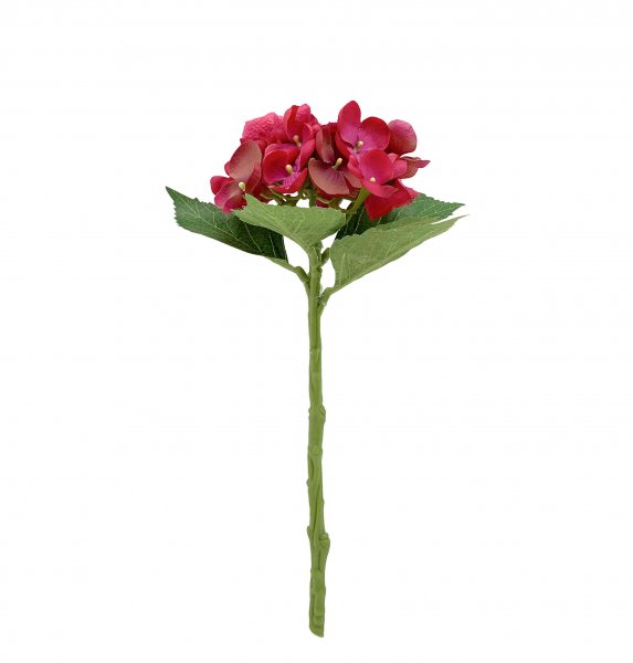 Hortensie 33 cm