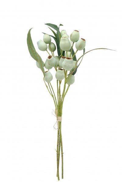 Eukalyptuszweig mit Früchte 57 cm