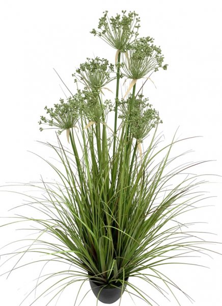 Angelica-Gras getopft 147 cm