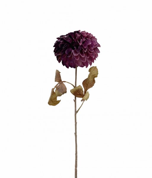Dahlie 74 cm