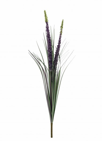 Eremurusgras-Busch 76 cm