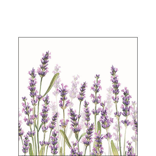 Cocktail Serviette Lavendel 25 cm VE Set à 20 St