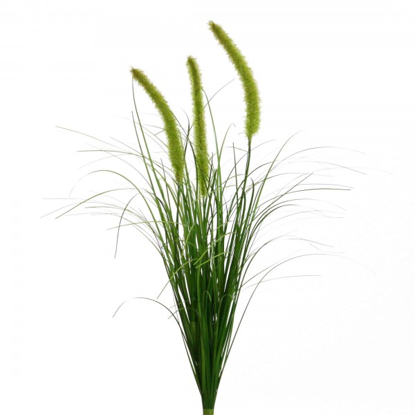 Gras-Busch