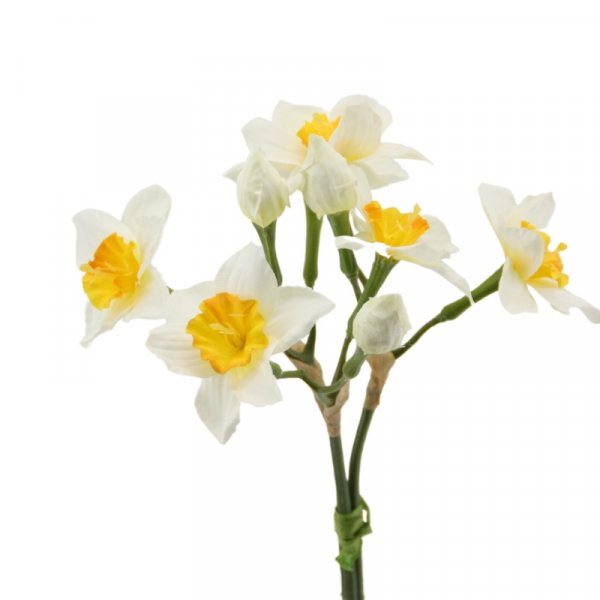 Narzissen-Bund 30 cm