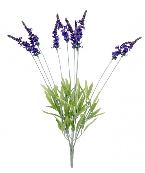 Lavendel-Busch 52 cm