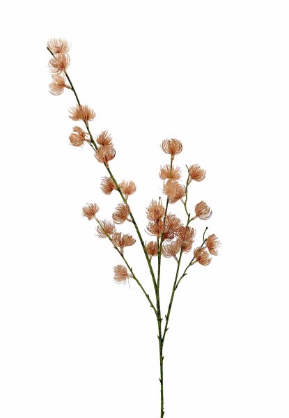 Fruchtstandzweig aus Kiefernadeln 100 cm