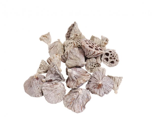 Lotus gemischt VE 35 St