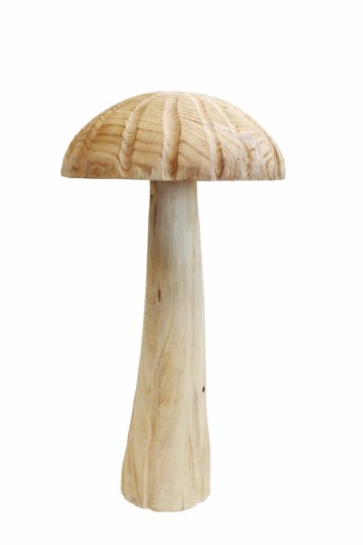 Dekopilz Spessart 50 cm