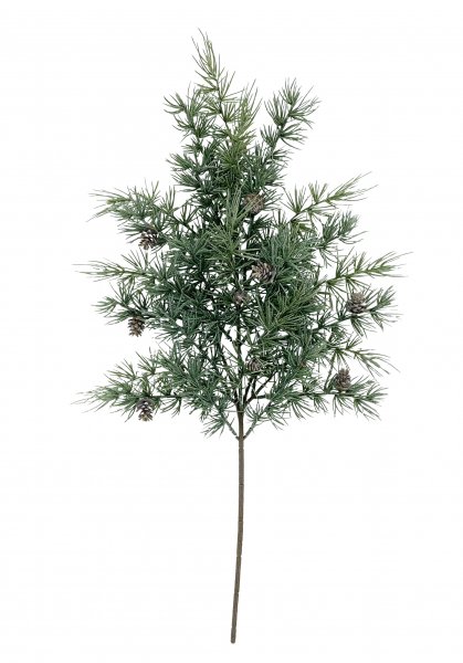 Zedernzweig mit Zapfen 71 cm