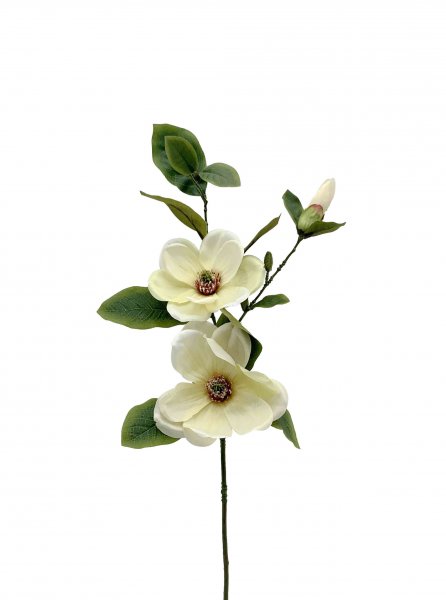 Magnolie 84 cm