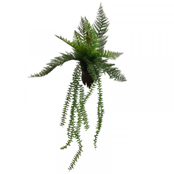 Farn mit Wandhalter 50 cm