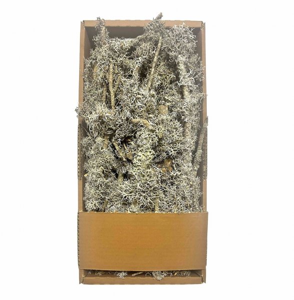 Graumoos mit Aästen 750 g