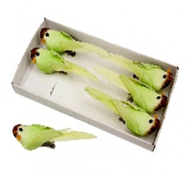 Vogel grün 10cm in Box (6)