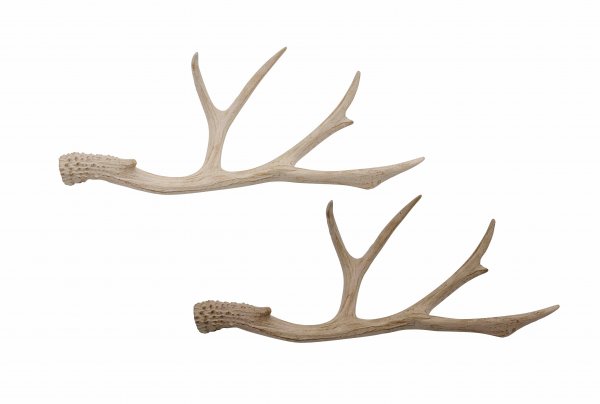 Geweih 2-farbig sortiert 29,5 cm