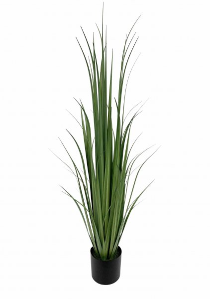 Gras getopft 120 cm