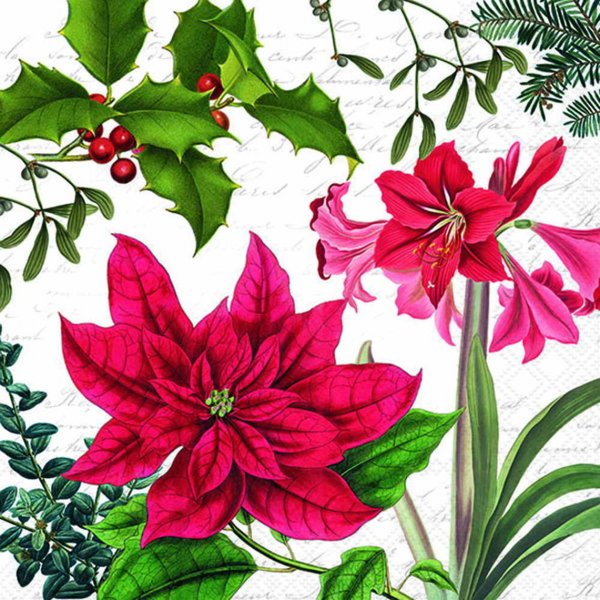 Serviette Weihnachtsstern 33 cm VE Set à 20 St