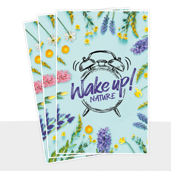 100er Set Postkarte - Wake up! Nature VE 100 St.