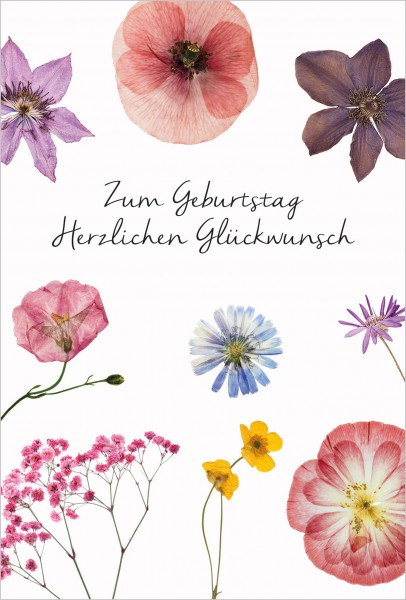 Glückwunschkarte Jardin Geburtstag 17 cm VE 6 St