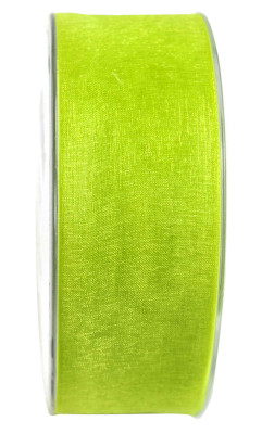 Band Beauty-Organdy 40 mm