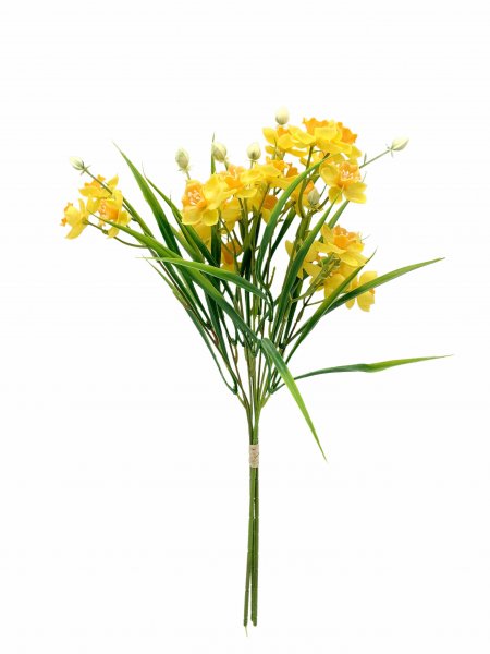 Narzissen-Bund 50 cm