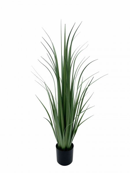Gras getopft 90 cm