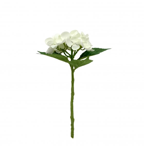 Hortensie 33 cm
