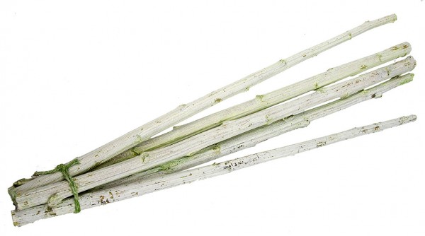 Sonnenblumenstiele grün 100cm (5)