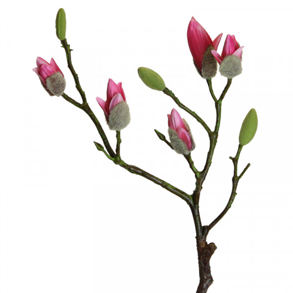 Magnolienknospen Zweig 73 cm