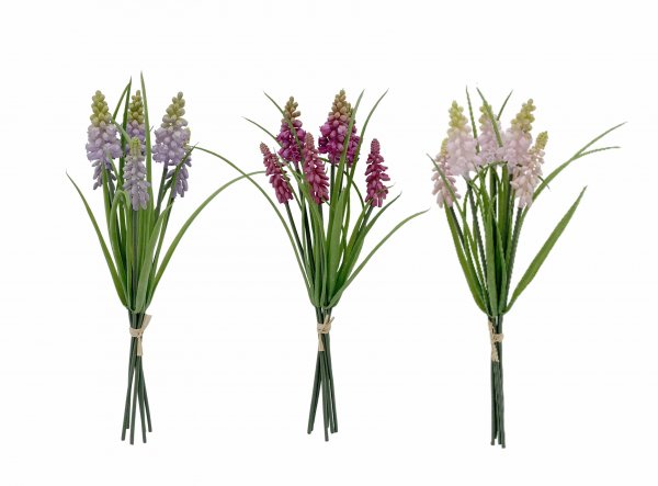 Muscari-Bund 3-farbig sortiert 32 cm